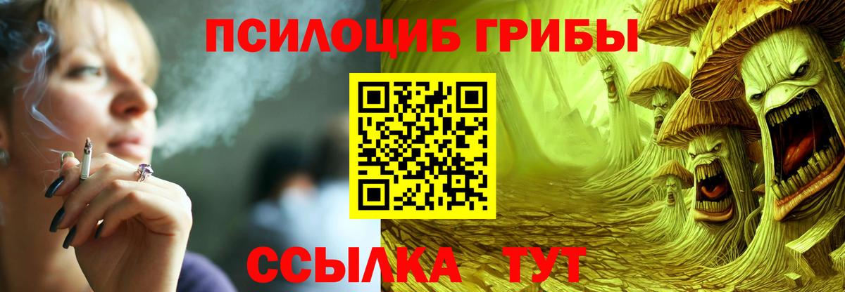 что такое наркотик  Галлюциногенные грибы прущие грибы  Вход с VPN  Рославль 